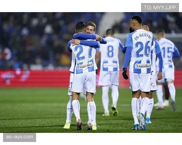 米特罗维奇状态回暖持续建功,助球队再创佳绩 米特罗维奇状态回暖持续建功,助球队再创佳绩