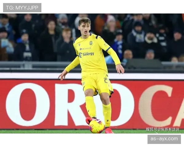 维罗纳本赛季数据分析：防守稳固但进攻效率有待提升